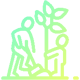 Tree Plant